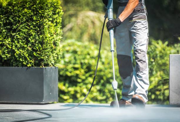 Animal Enclosure Cleaning in Wellington, OH